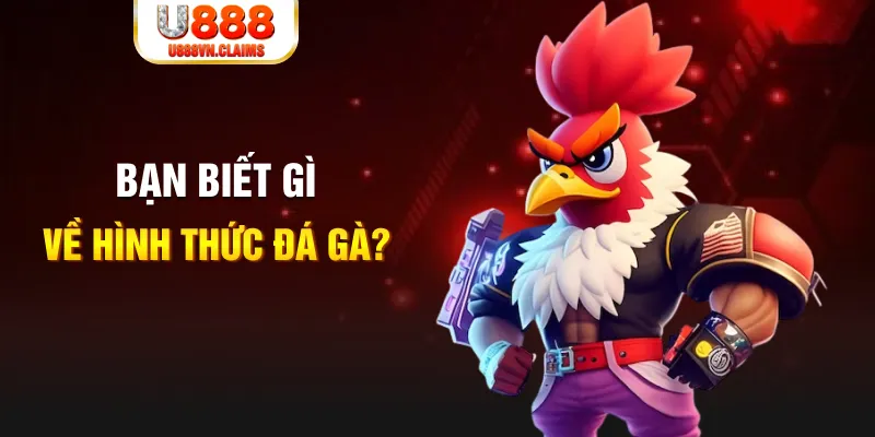 f8bet bet dự đoán xổ số miền trung