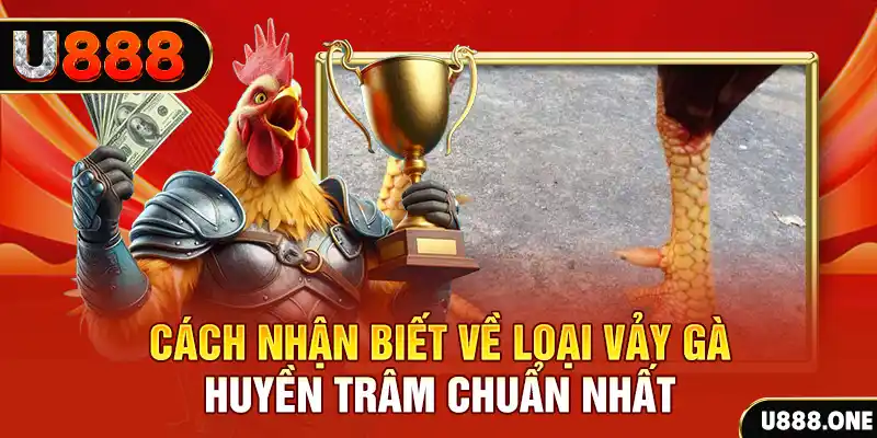 f8bet bet Chú hề Patty tuổi teen