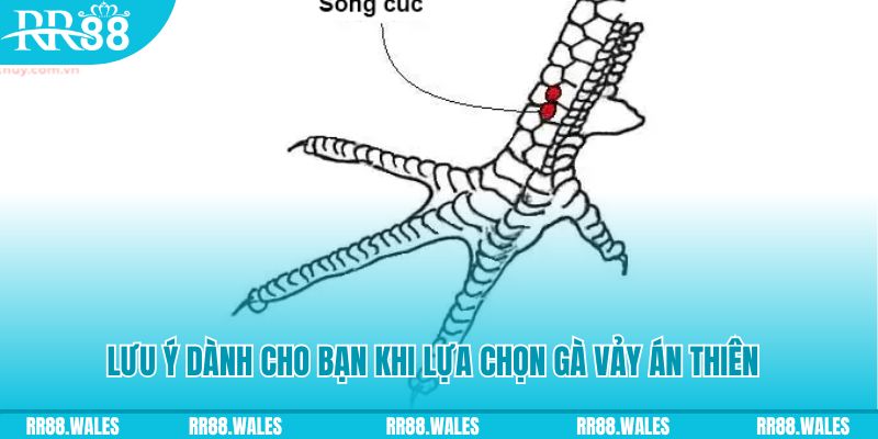 f8bet bet how to play roulette at casino