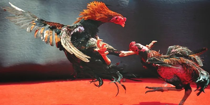 f8bet bet đăng nhập nổ hũ số 1