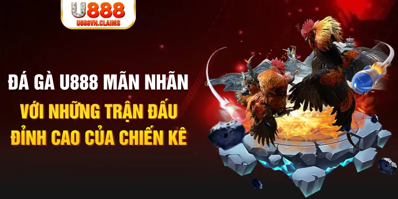 f8bet bet kết quả xổ số miền bắc ngày hôm nay