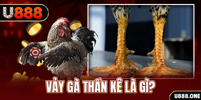 f8bet bet xổ số miền bắc thứ tư hàng tuần