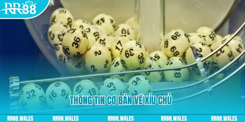 f8bet bet baccarat long bảo là gì