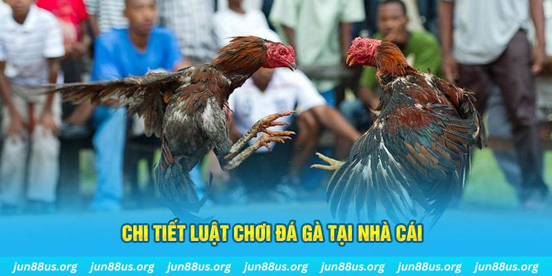 f8bet bet đá gà campuchia