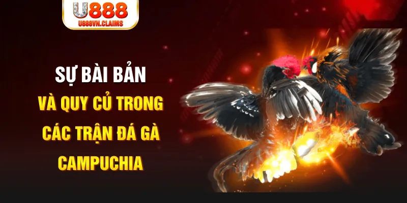 f8bet bet baccarat lừa đảo như thế nào
