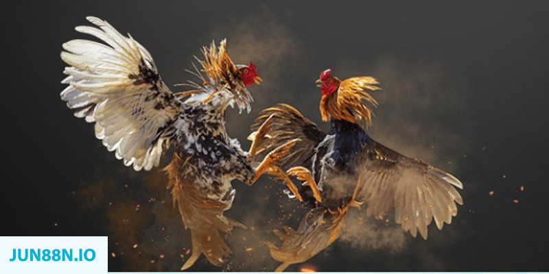 f8bet bet đăng nhập sòng bạc miễn phí