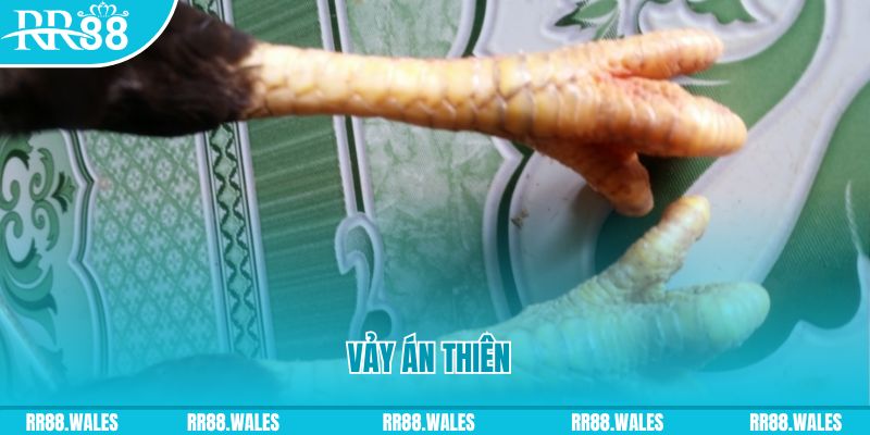 who wants to be a millionaire slot